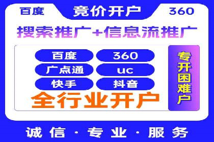 专业SEM服务公司案例分析报告